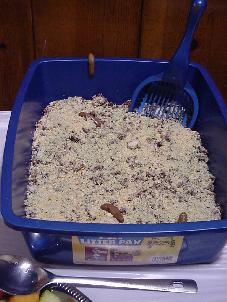 Gefilte Fist - Your Mom Eats Kitty Litter