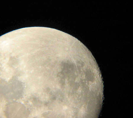 Gefilte Fist - My Moonlit Serenity